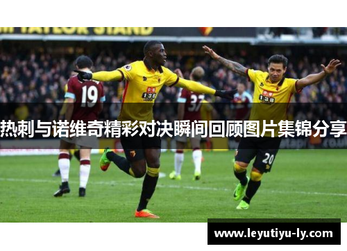 热刺与诺维奇精彩对决瞬间回顾图片集锦分享